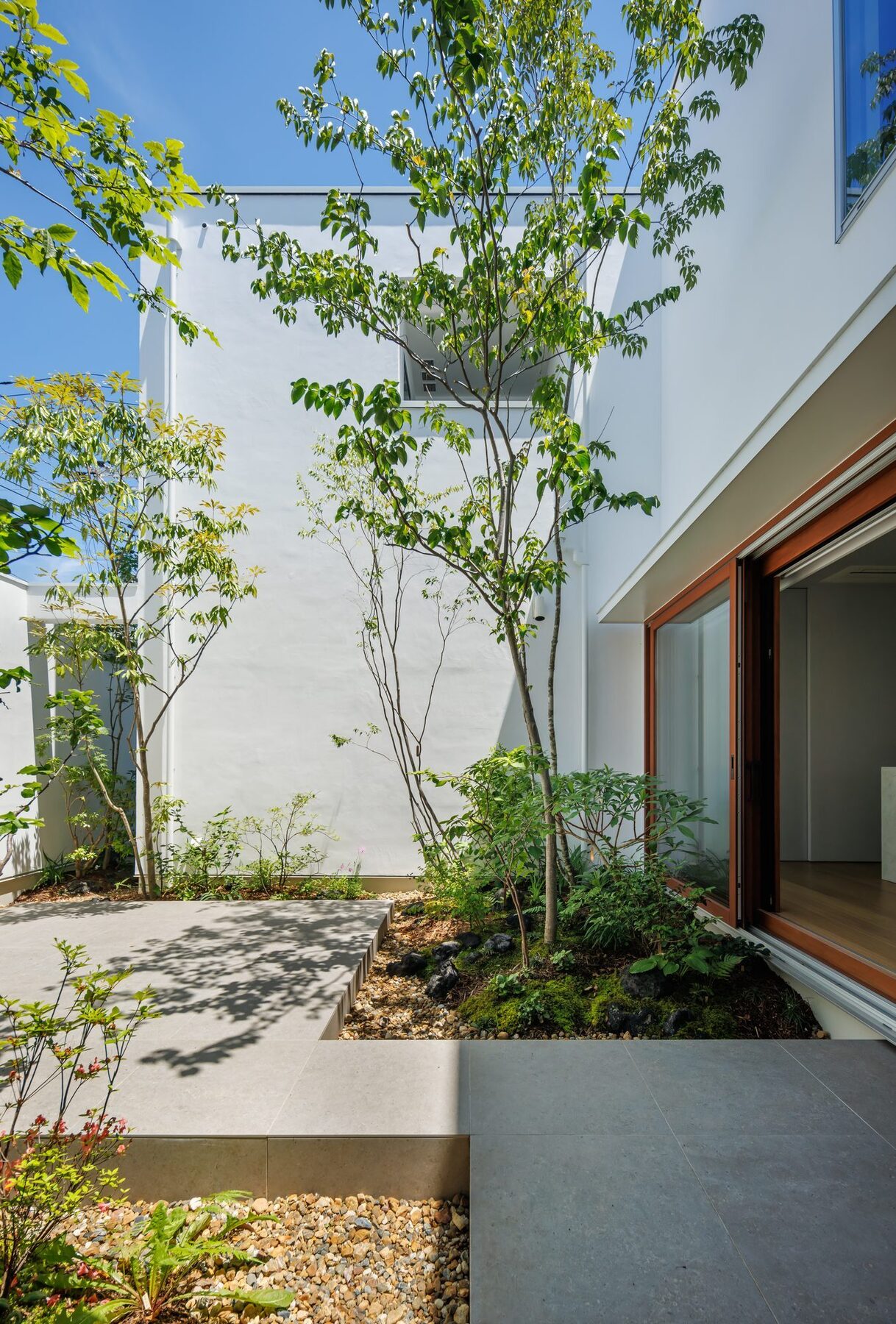アプローチの植栽