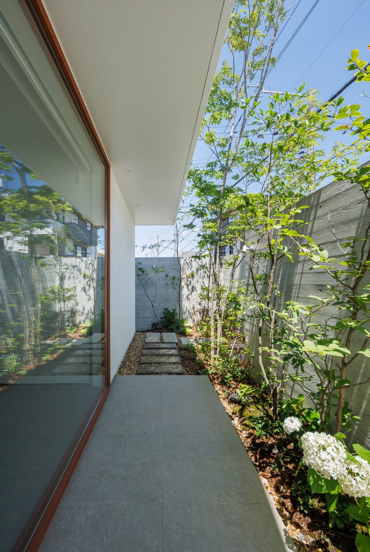 中庭の植栽